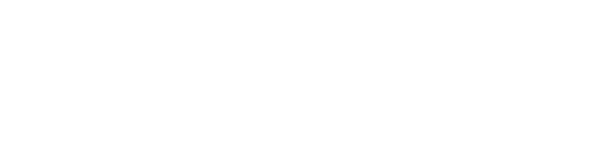Logo Jung