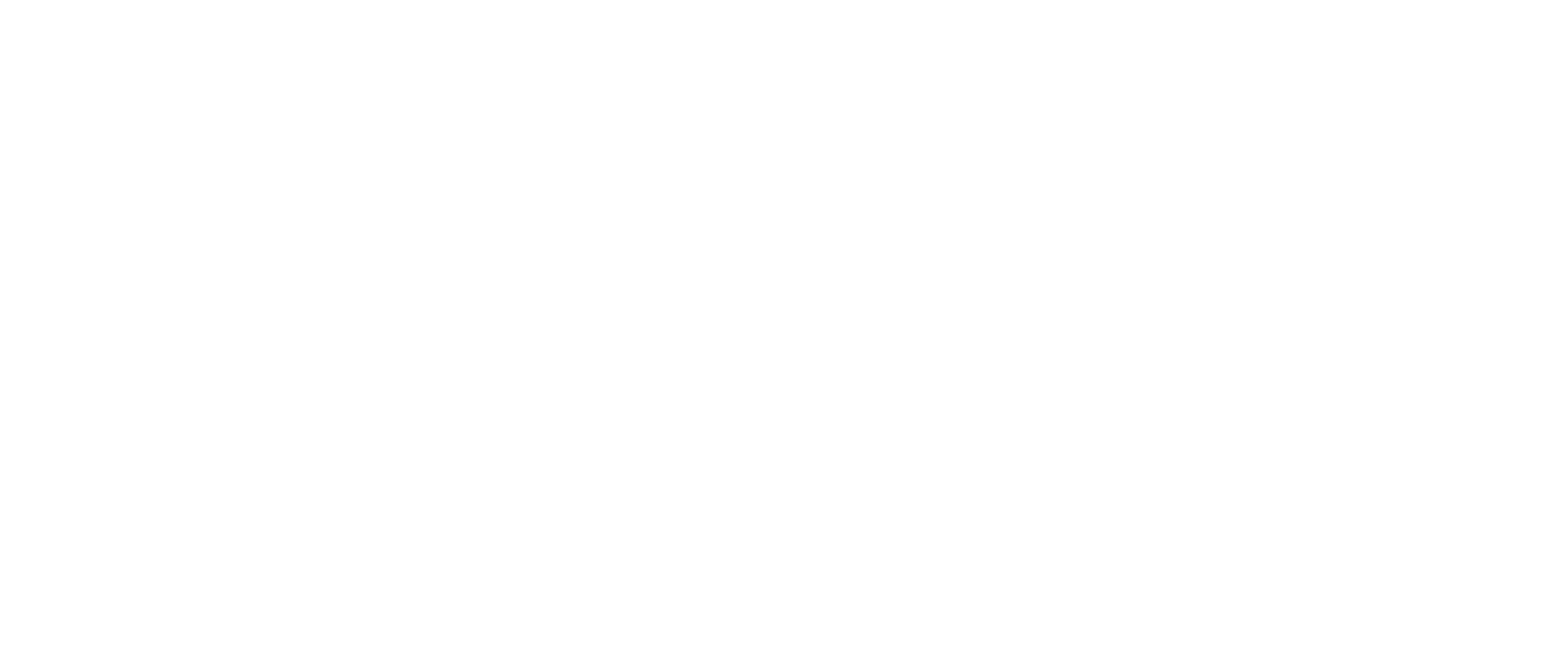 Logo AION