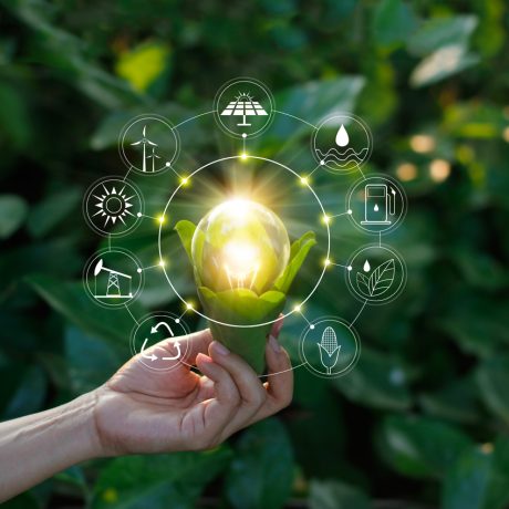 Ecology concept. Hand holding light bulb against nature on green leaf with icons energy sources for renewable, sustainable development, save energy. Ecology concept. Hand holding light bulb against nature on green leaf with icons energy sources for renewable, sustainable development, save energy.