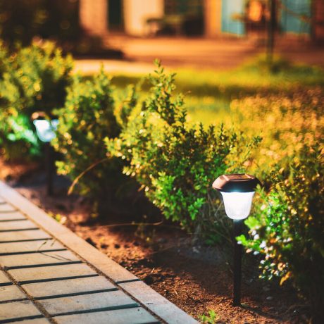Night View Of Flowerbed Illuminated By Energy-Saving Solar Powered Lanterns Along The Path Causeway On Courtyard Going To House Night View Of Flowerbed Illuminated By Energy-Saving Solar Powered Lanterns Along The Path Causeway On Courtyard Going To House